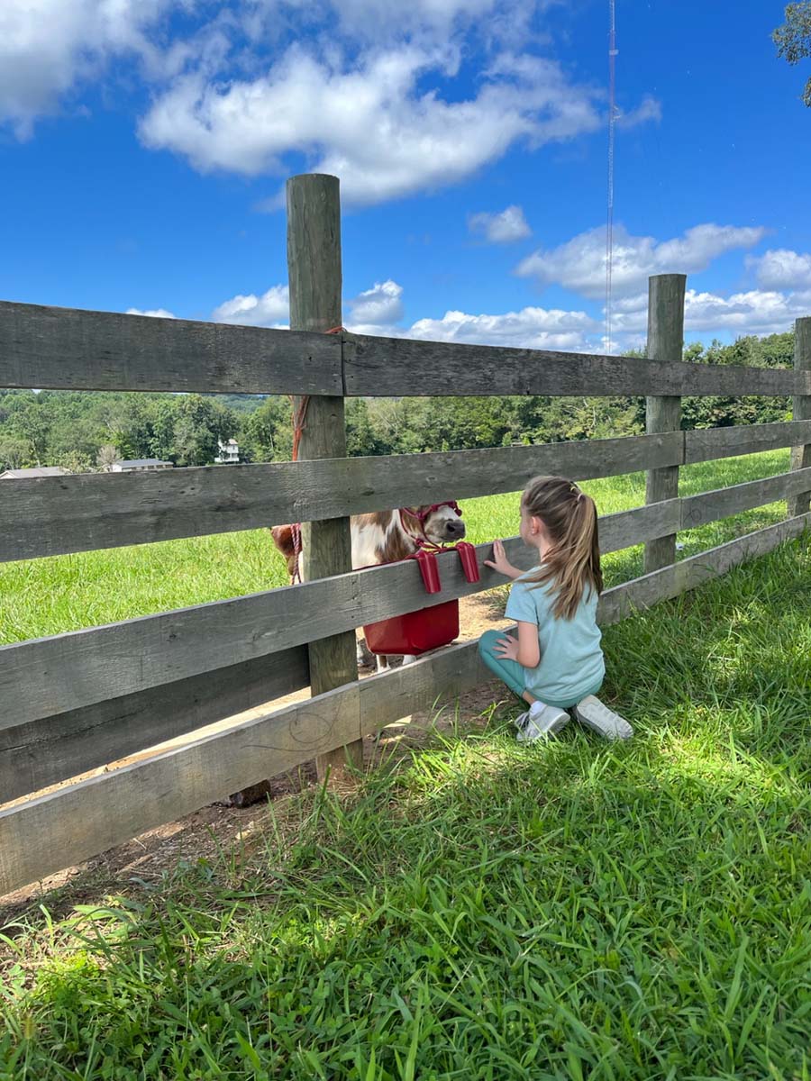 Hillcrest Farms Clinton TN